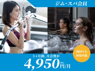 シニア・パートナー