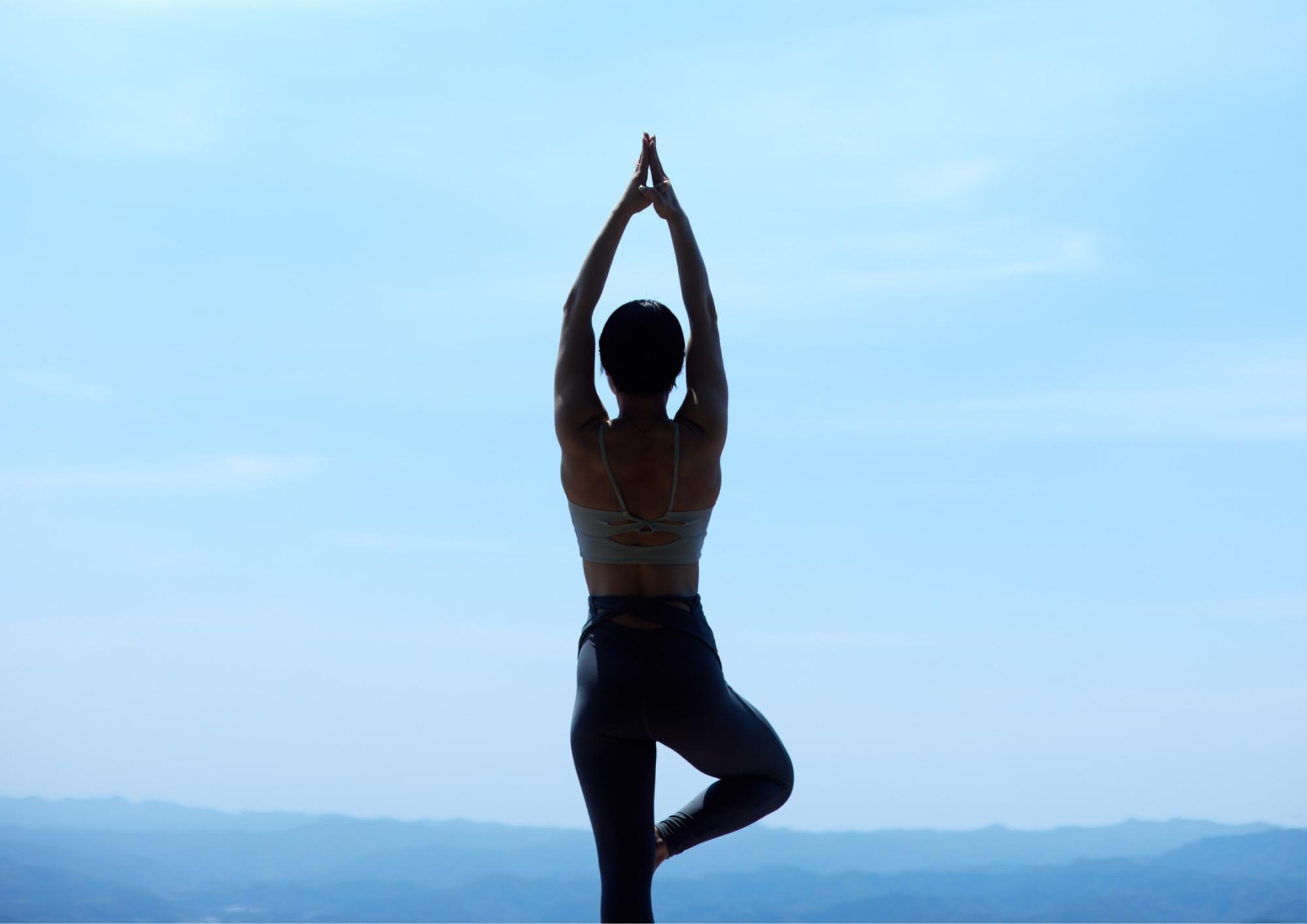 ヨガのキャット アンド カウとは？背骨をしなやかに整える初心者向けポーズ解説